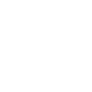 Internal Career Transitions